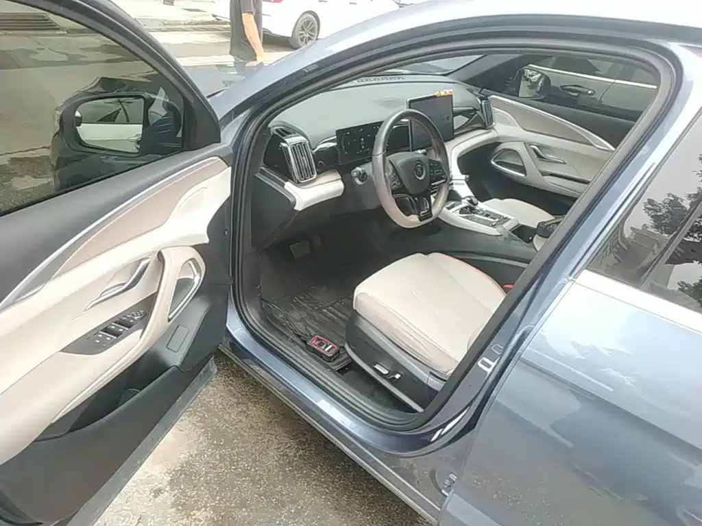BYD Pro New Energy — миниатюра 16