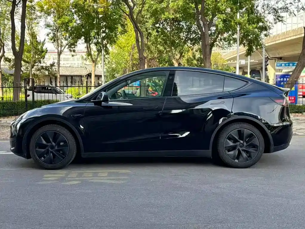 Tesla Model Y — миниатюра 6