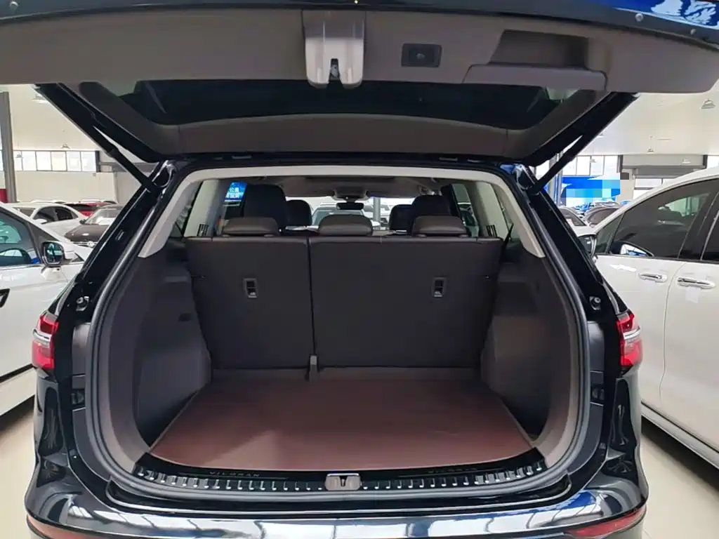 Volkswagen Viloran — миниатюра 19