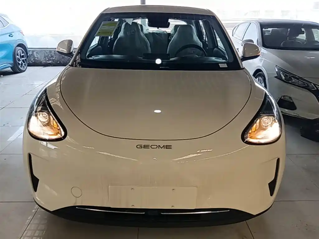 Geely Geome Xingyuan 2026 310km