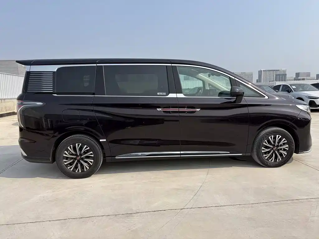 Hongqi Hongqi HQ9 — миниатюра 5