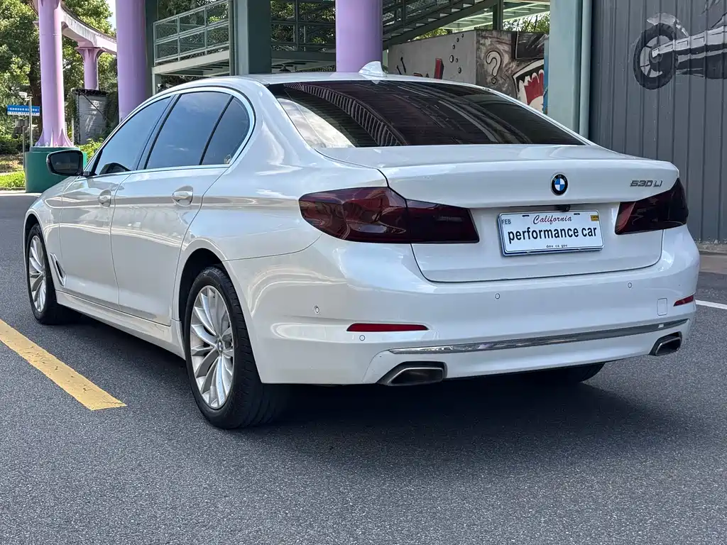 BMW 5 Series 5 2020 530Li Premium Luxury