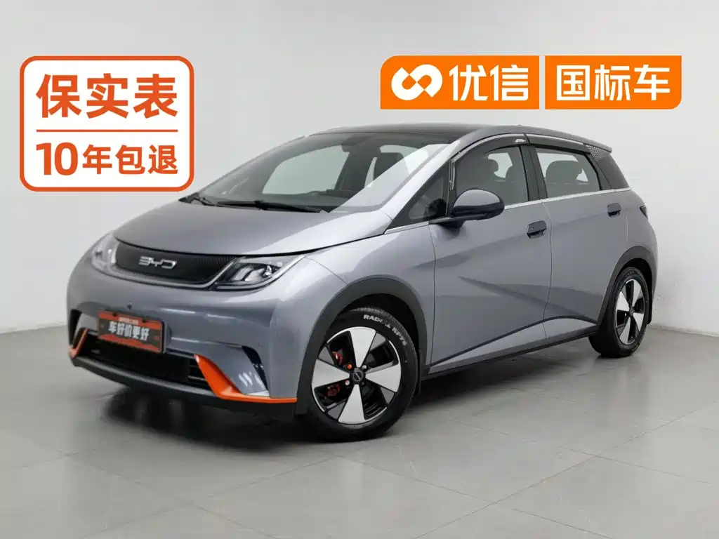 BYD Dolphin