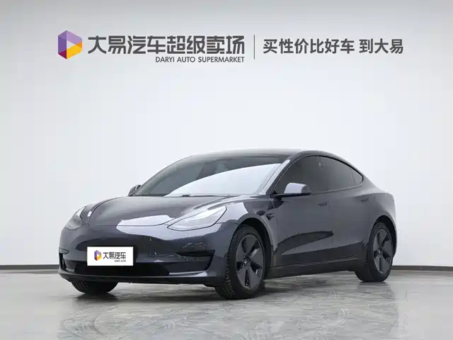 TESLA MODEL 3 2021