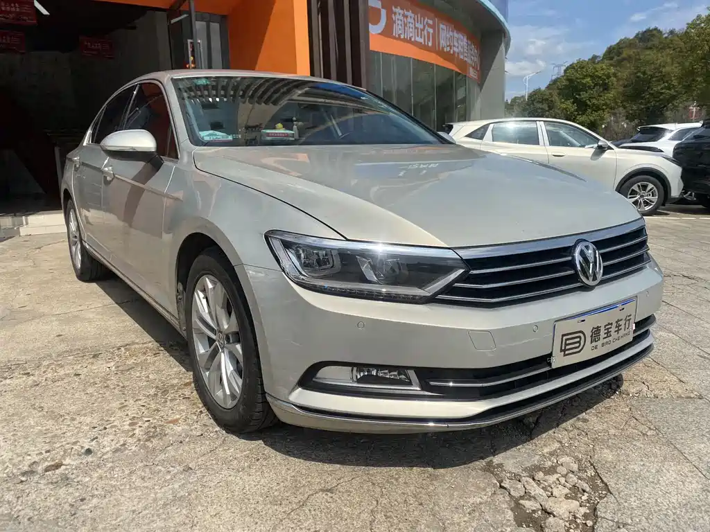 Volkswagen Magotan 2019 330TSI DSG Luxury VI