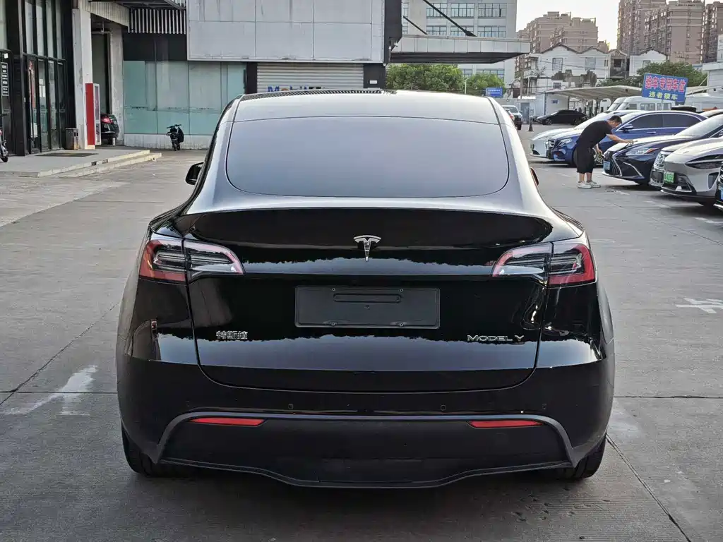 Tesla Model Y — миниатюра 12