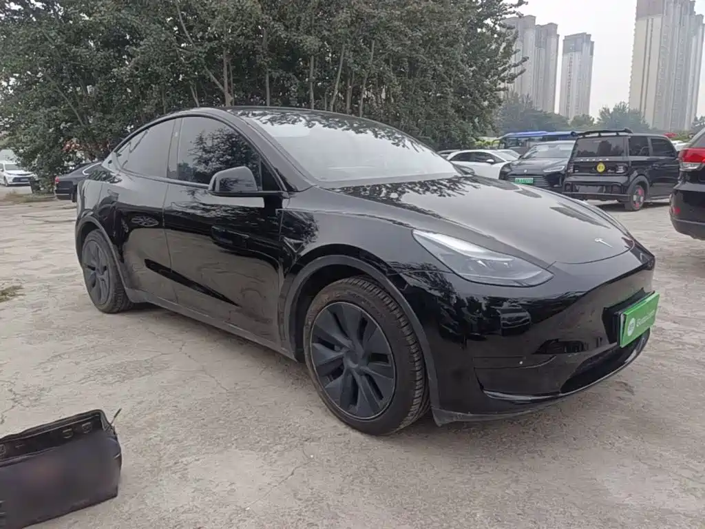 Tesla Model Y — миниатюра 4