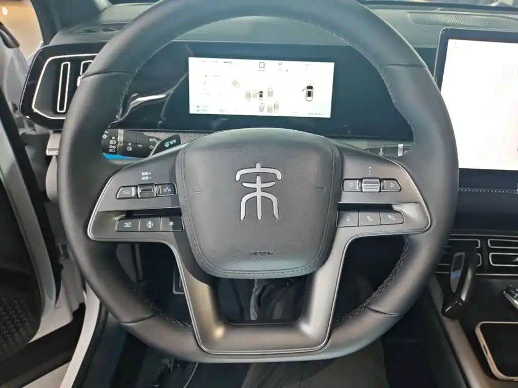 BYD Pro New Energy — миниатюра 11