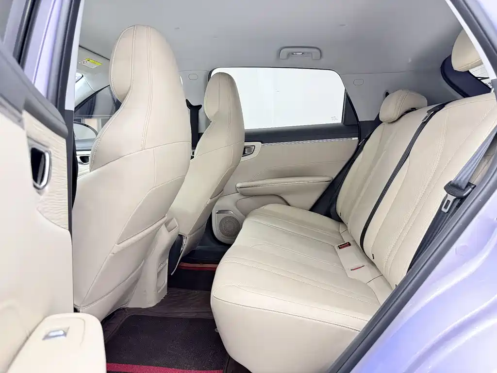 Wuling BinguoS S 2025 430km Flagship