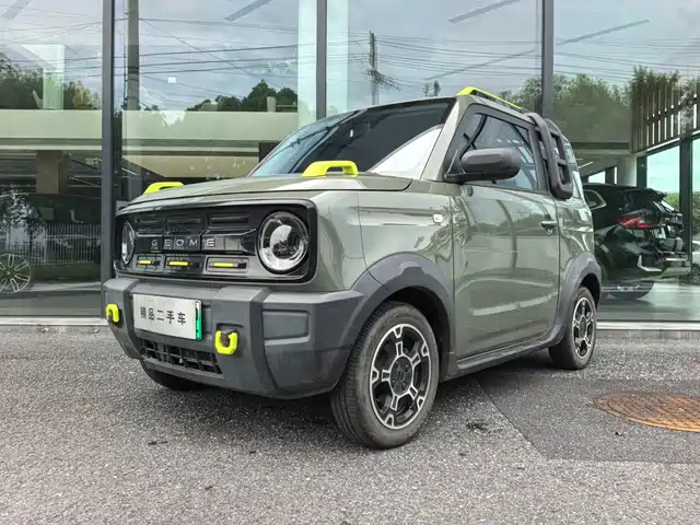 2024 Geely LC (Panda)