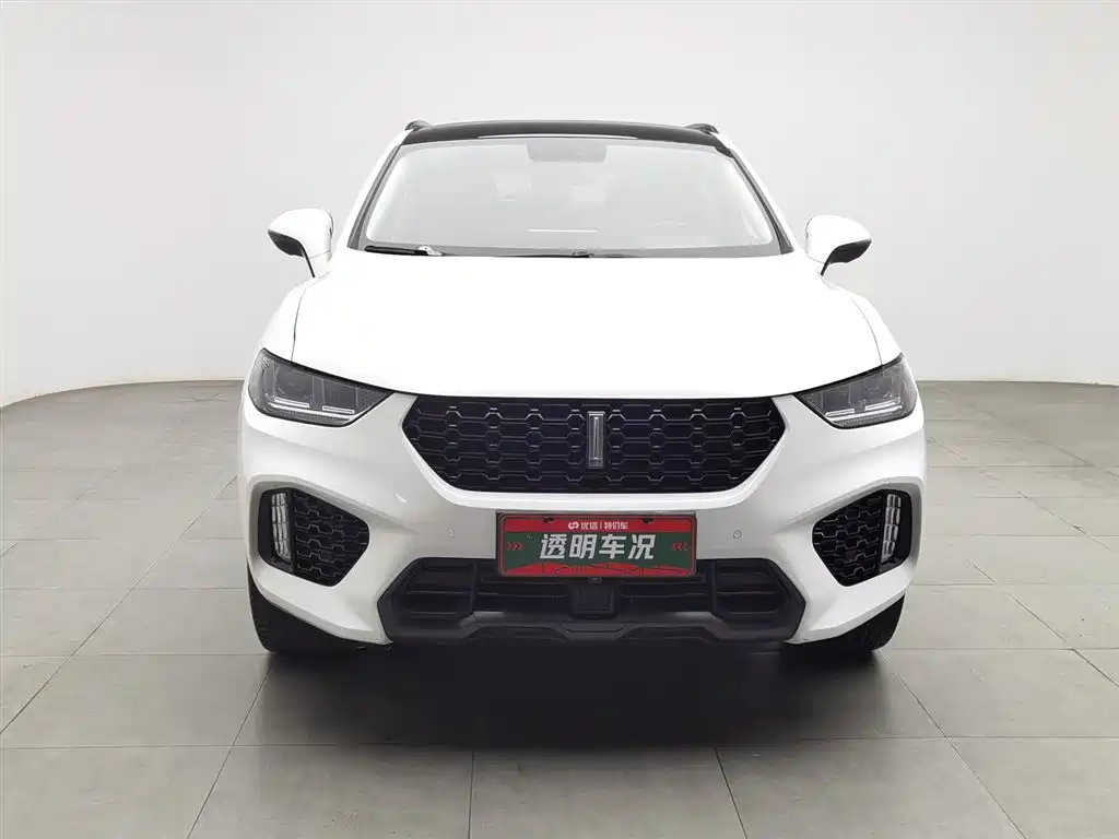 WEI PAI WEI BRAND VV5