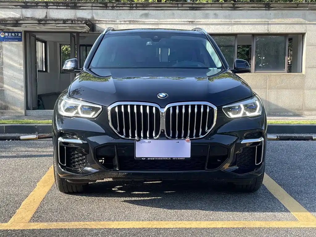 BMW X5 — миниатюра 2