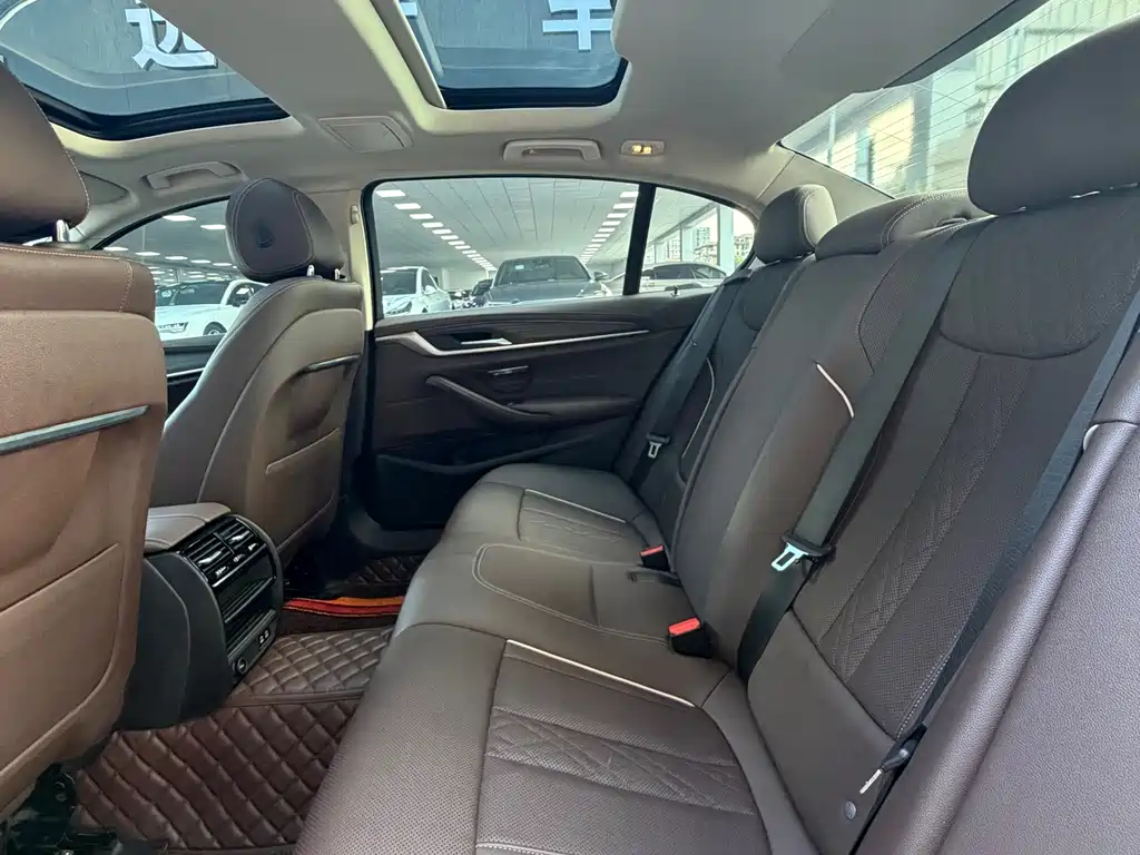 BMW 5 Series 5 2021 530Li Lead Luxury