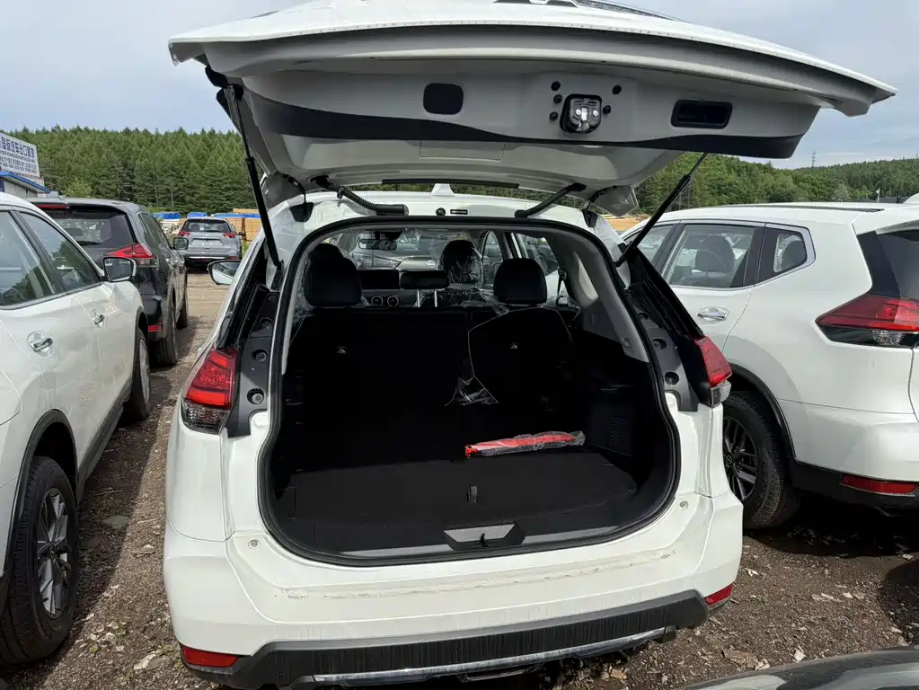 Nissan X-Trail 2025 2.0L Lead
