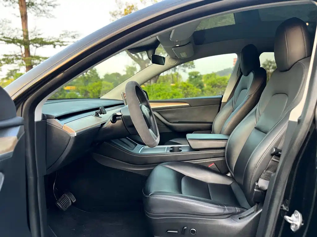 Tesla Model Y — миниатюра 7
