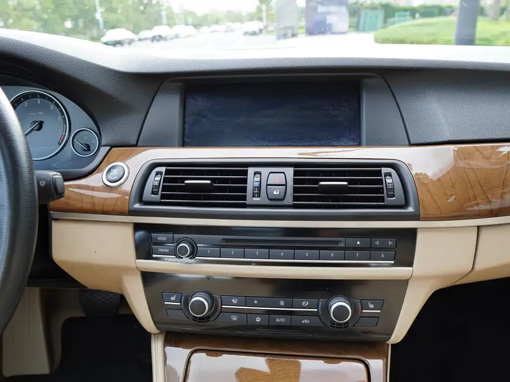 BMW 5 Series 5 2011 528Li Lead