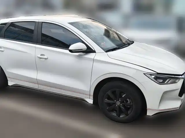 2021 BYD e2