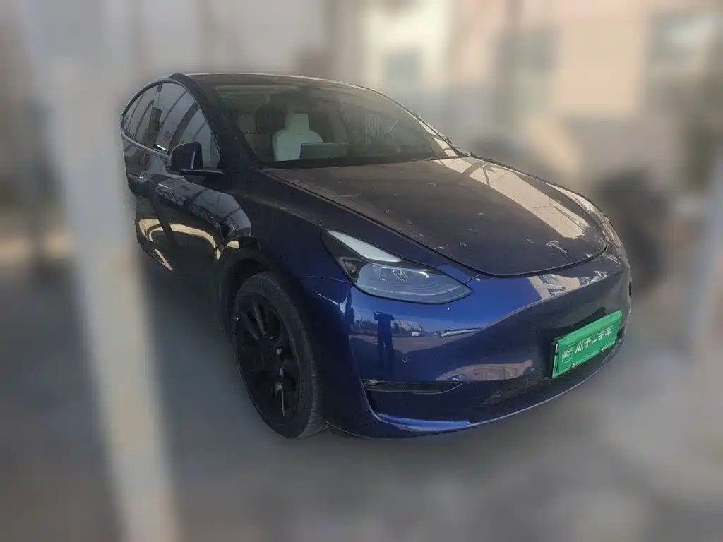 Tesla Model Y — миниатюра 3