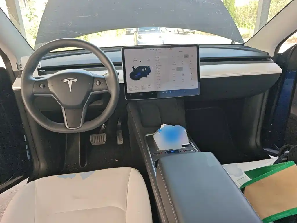 Tesla Model Y — миниатюра 10