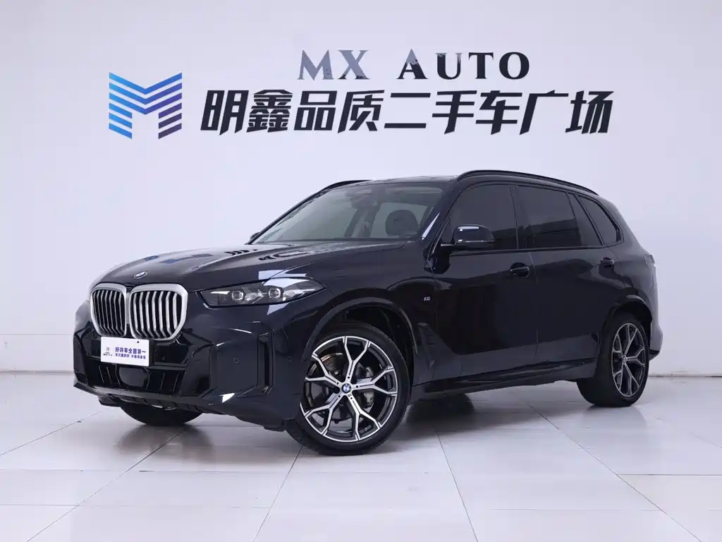 BMW X5 — миниатюра 2
