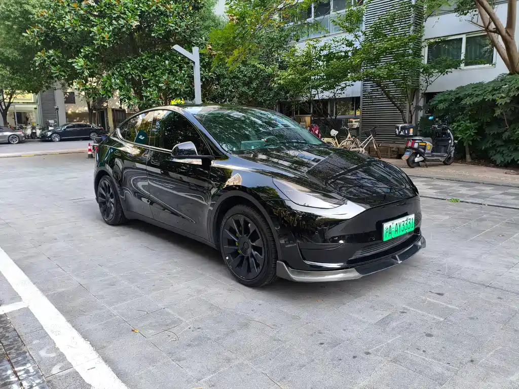Tesla Model Y — миниатюра 3