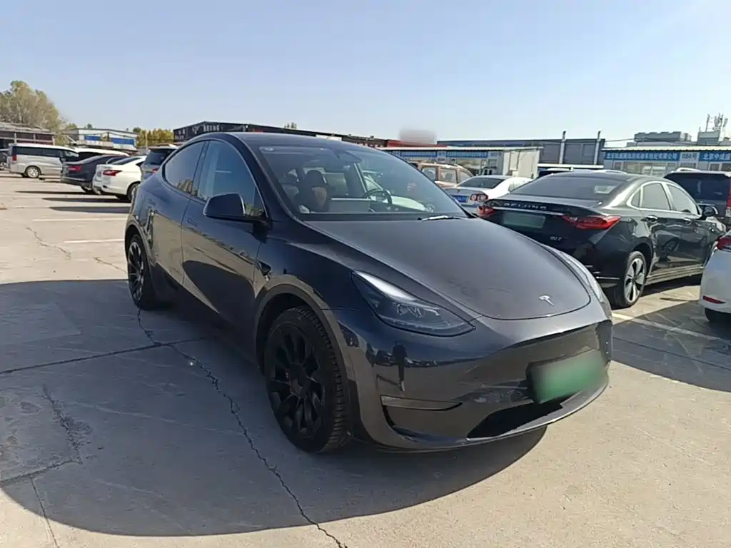 Tesla Model Y — миниатюра 4
