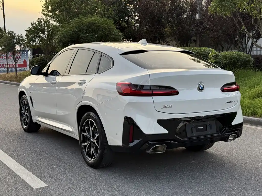 BMW X4 — миниатюра 6