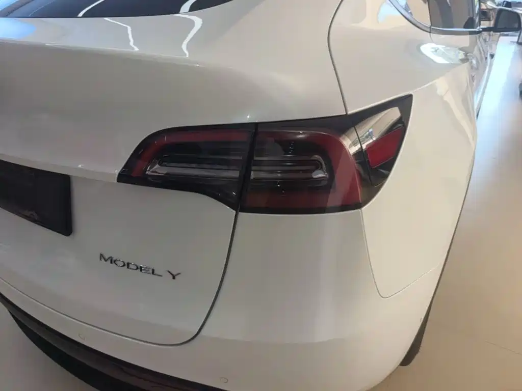 Tesla Model Y — миниатюра 8