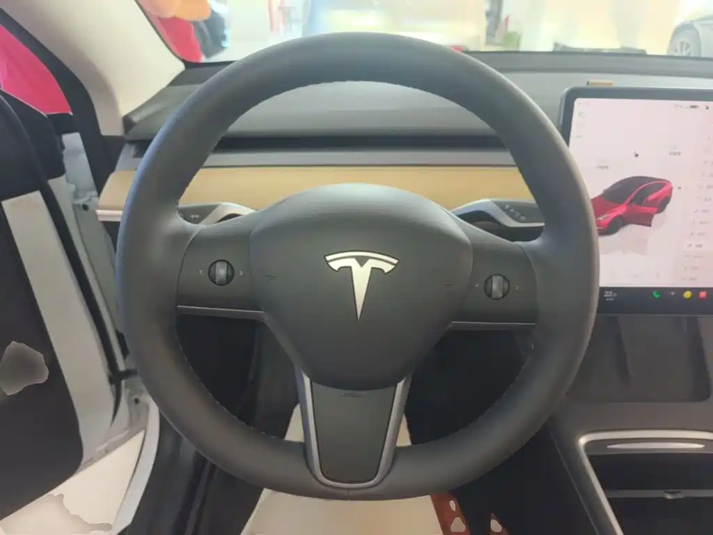 Tesla Model Y — миниатюра 11