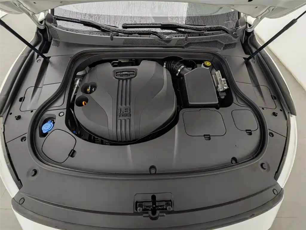 Geely Borui 2021 1.8T +
