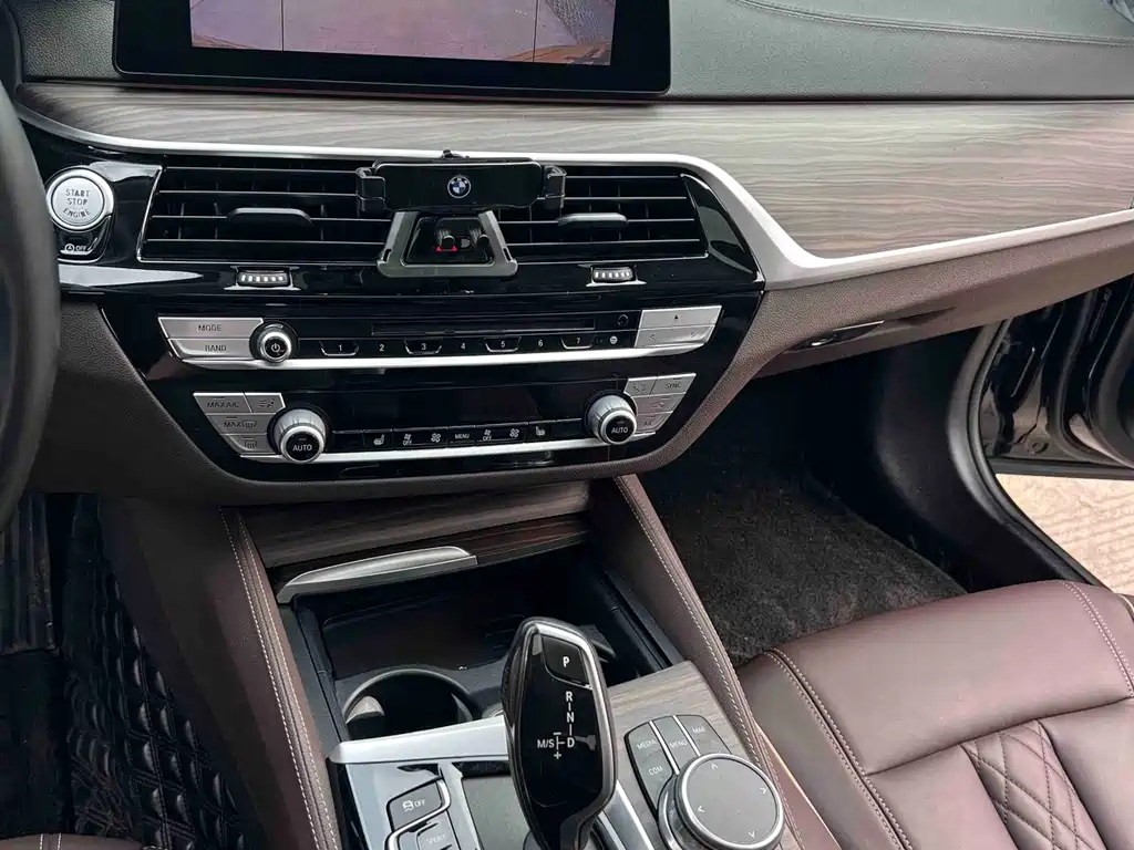 BMW 5 Series 5 2019 530Li Lead Luxury