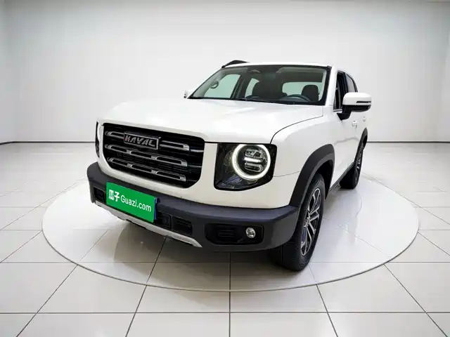 2021 Haval Big Dog