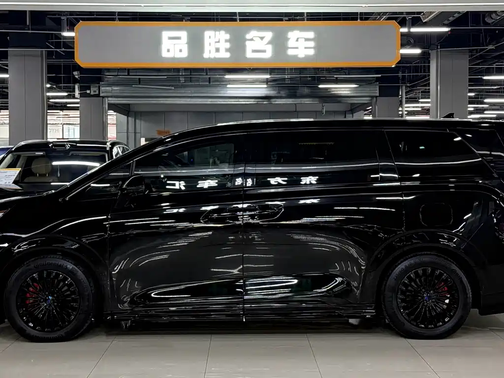 Denza Denza D9 — миниатюра 4