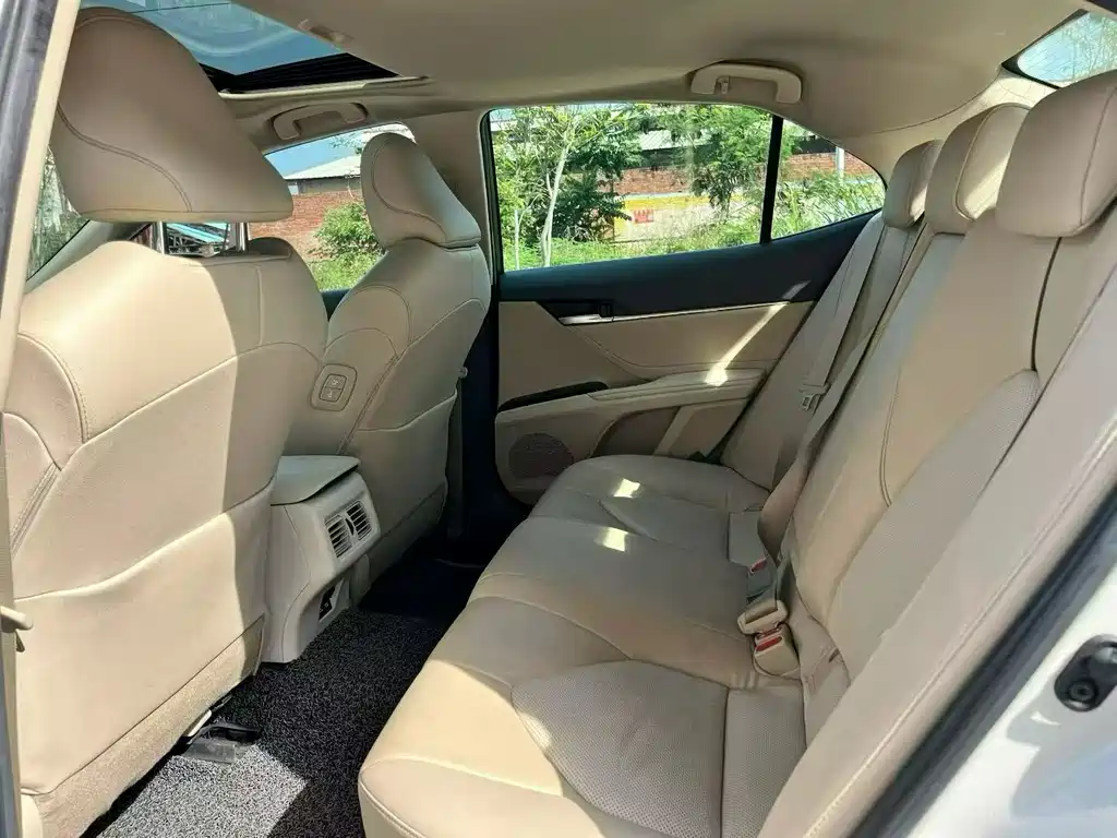 Toyota Camry 2019 2.0G Luxury VI