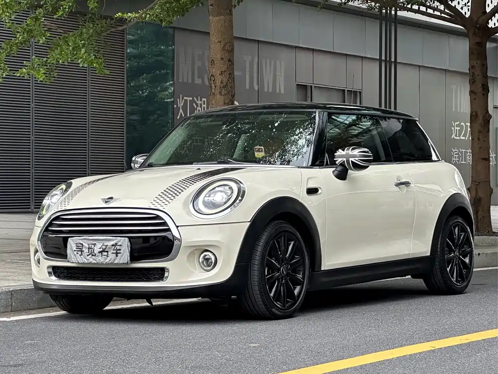 Mini Mini 2019