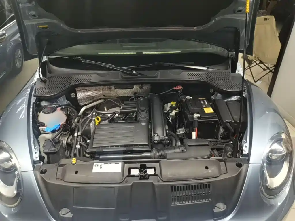 Volkswagen Beetle — миниатюра 20