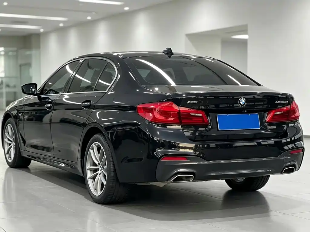 BMW 5 Series — миниатюра 5