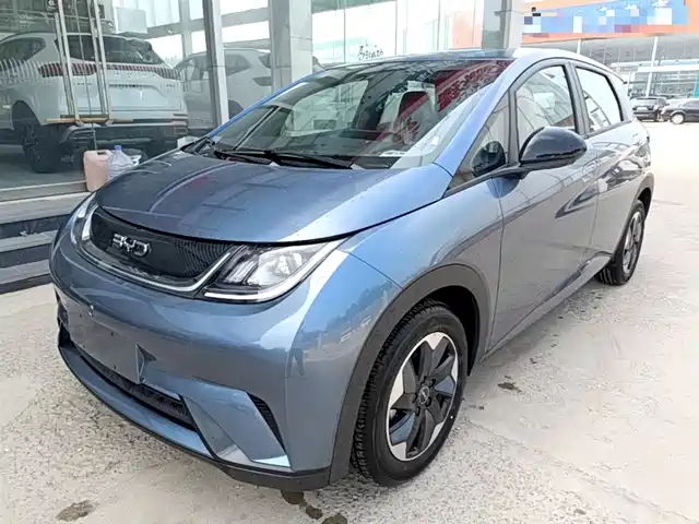 2026 BYD Dolphin