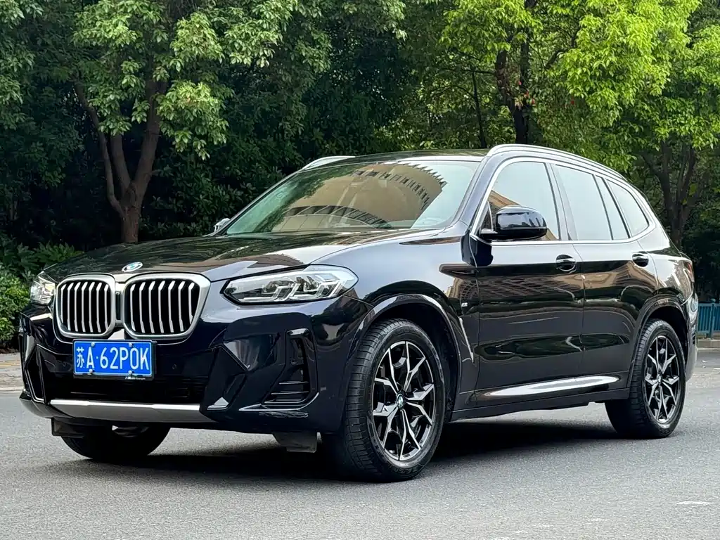 BMW X3 — миниатюра 2