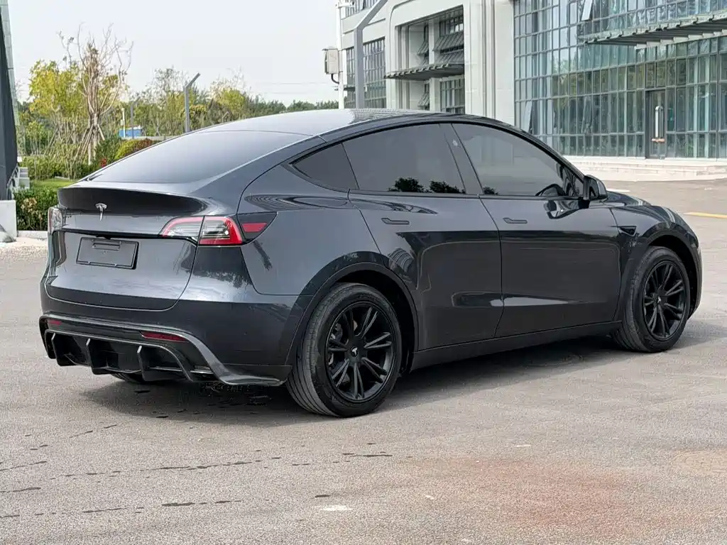 Tesla Model Y — миниатюра 6
