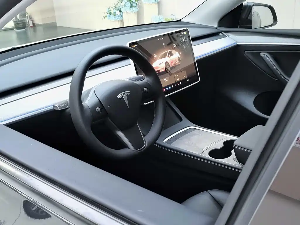 Tesla Model Y — фотографии объявления, Фото 11