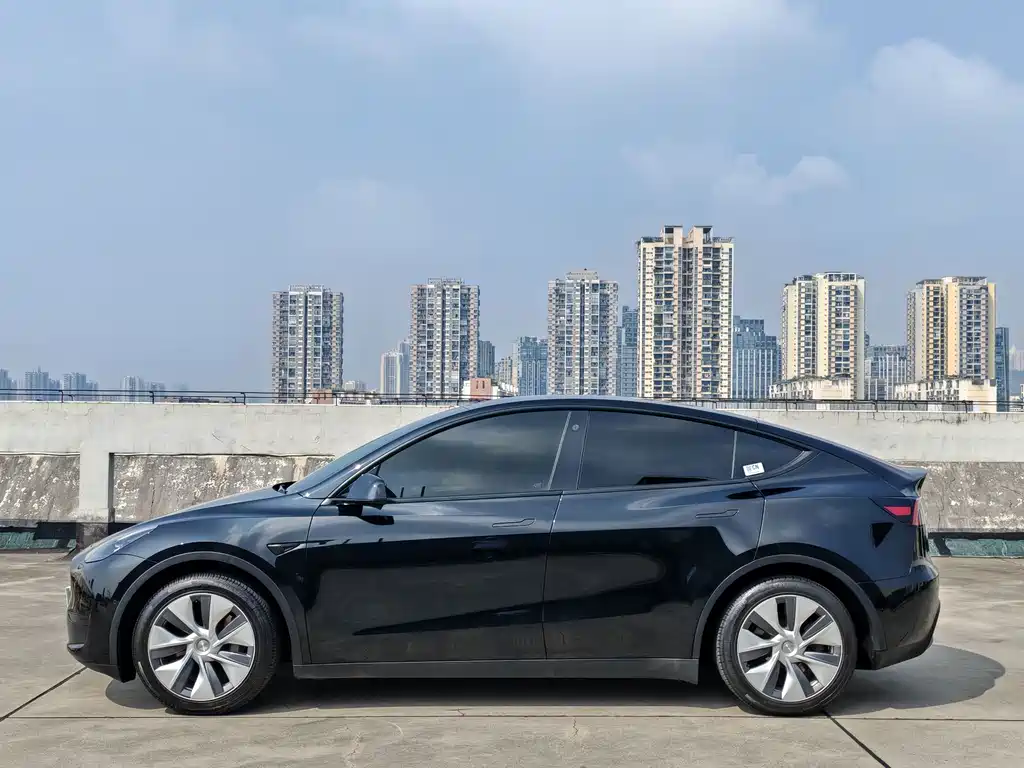 Tesla Model Y — миниатюра 5