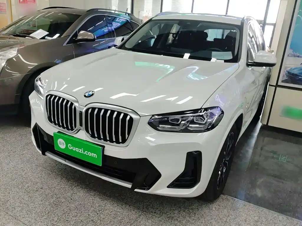BMW X3 — миниатюра 2