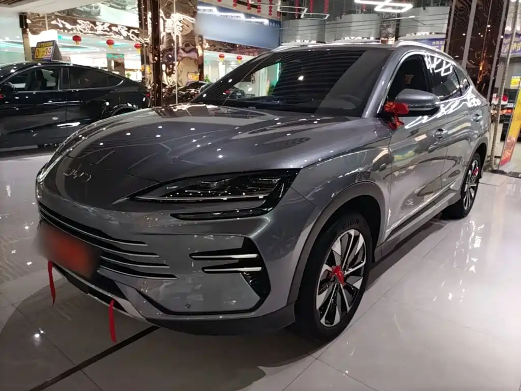 BYD PLUS New Energy — миниатюра 2