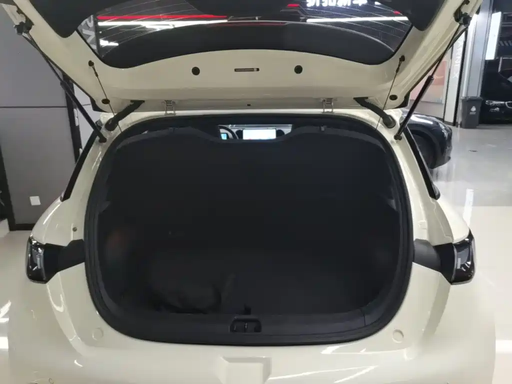 BYD Dolphin — миниатюра 19