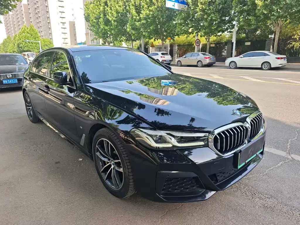 BMW 5 Series New Energy 2020
