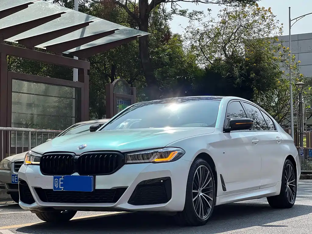 BMW 5 Series (Import) 2018