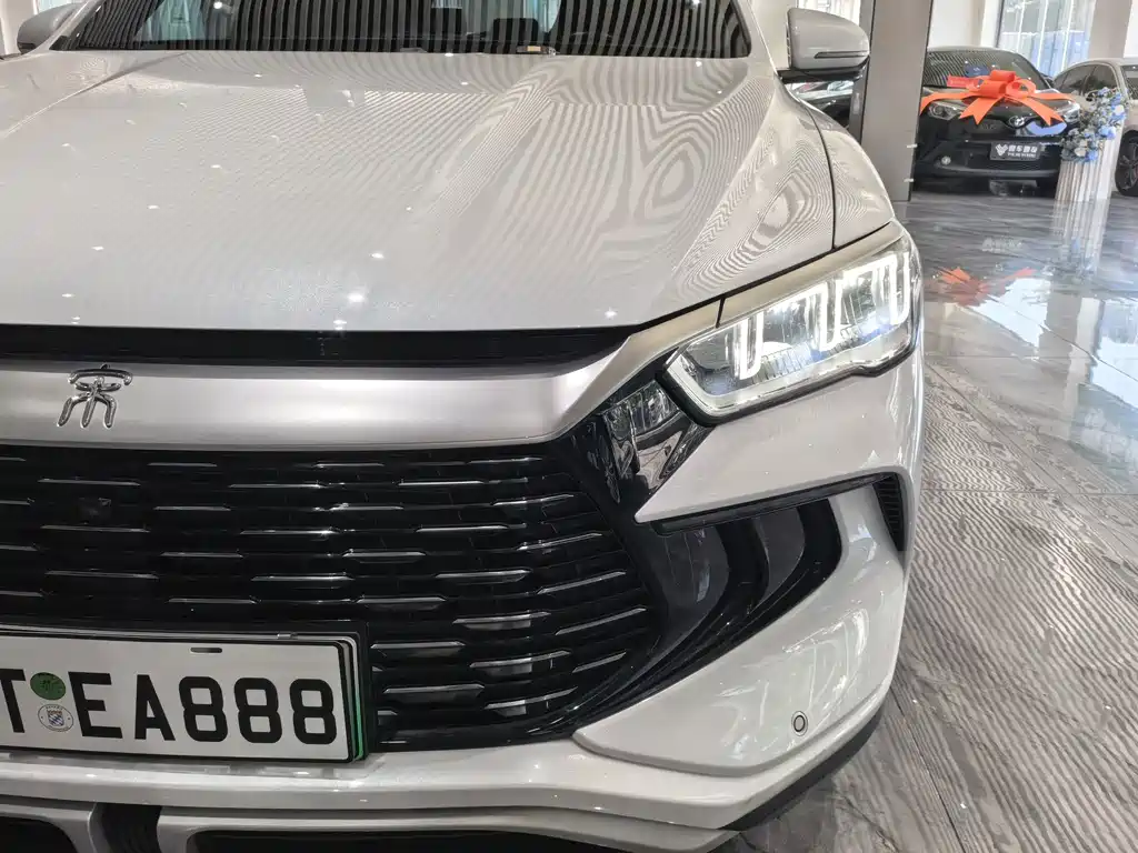 BYD Pro New Energy — миниатюра 25