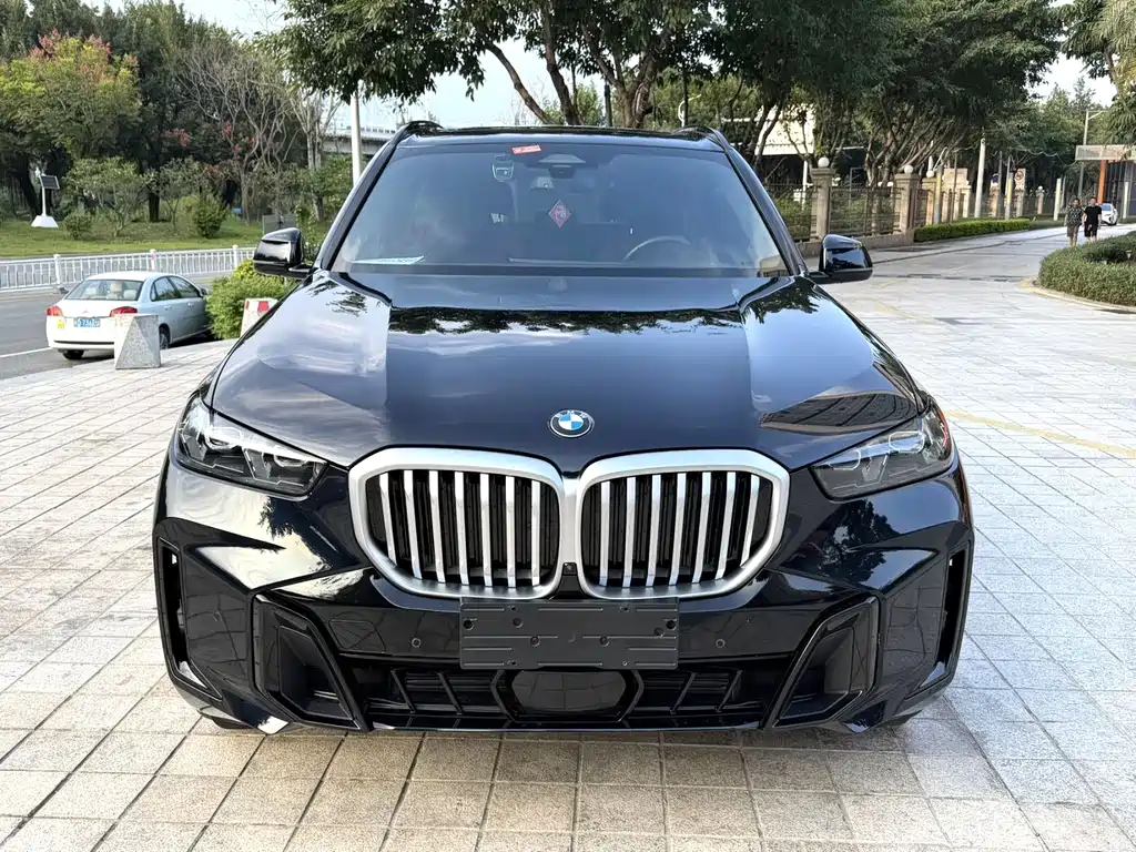 BMW X5 — миниатюра 2