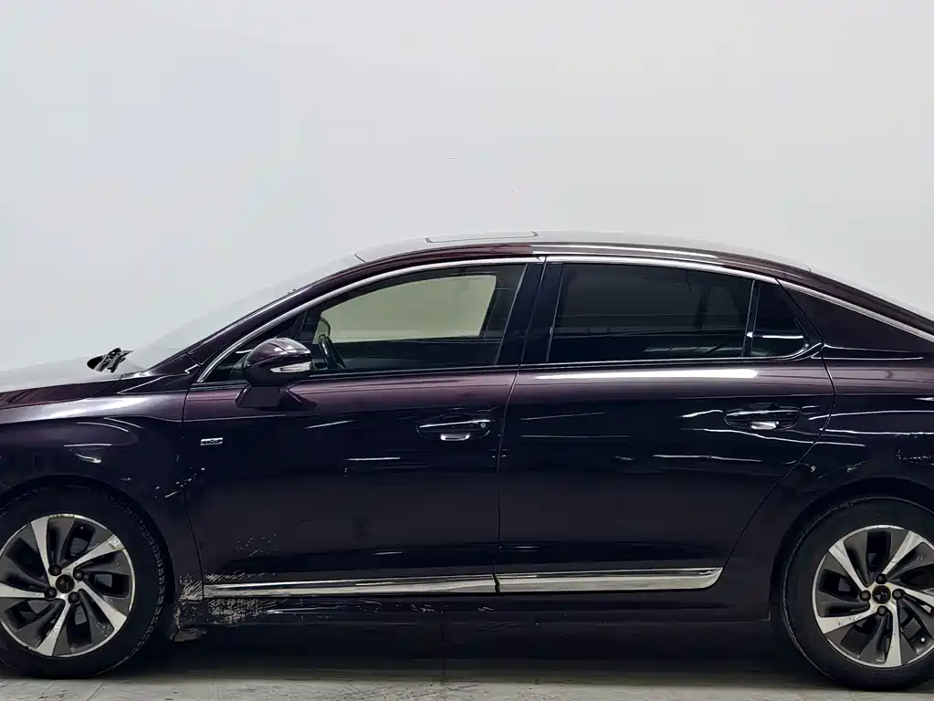 DS DS 5LS — миниатюра 7